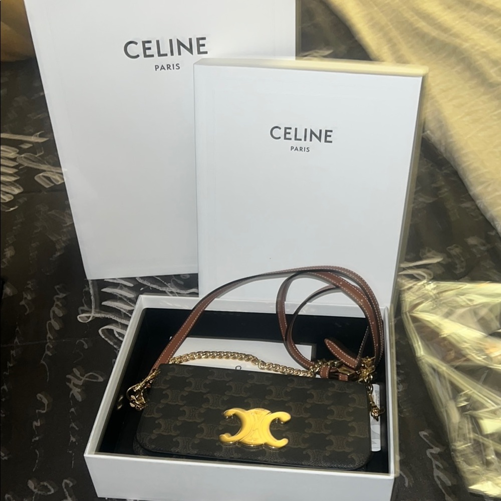 Celine Black and Brown Bag with Gold Accents - Picture 2 of 10